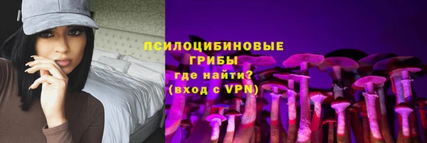 прущий лед Богданович