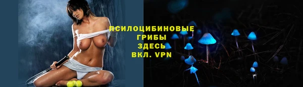 прущий лед Богданович
