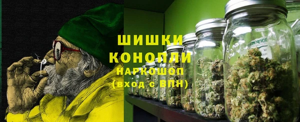 прущий лед Богданович