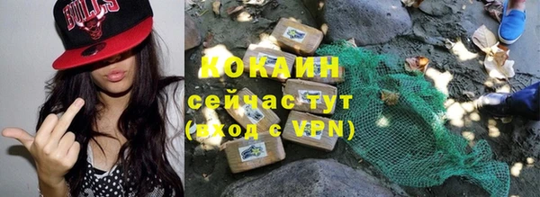 прущий лед Богданович