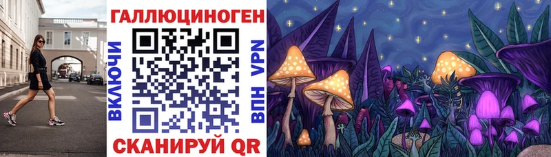 Галлюциногенные грибы GOLDEN TEACHER  даркнет наркотические препараты  Новоржев 